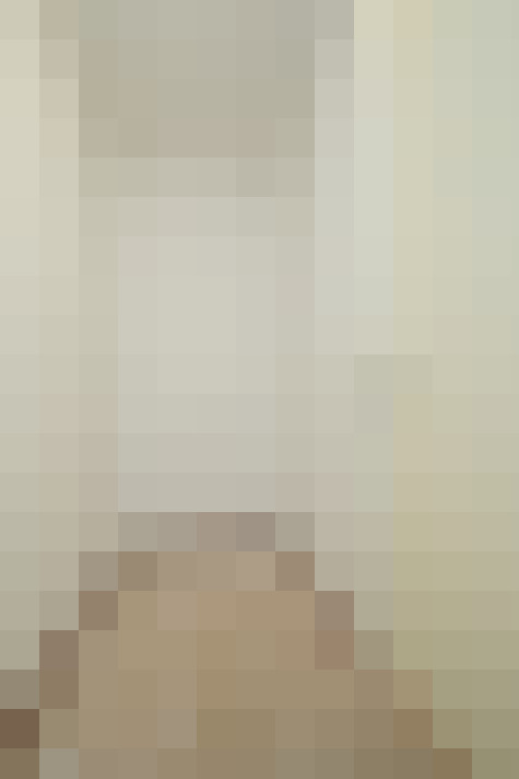 Image 29