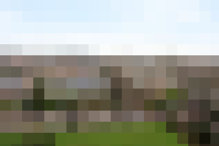 Image 30