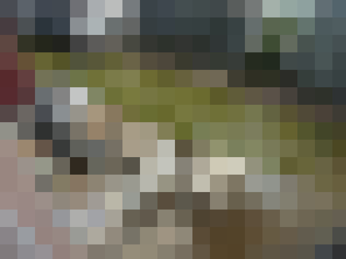 Image 23