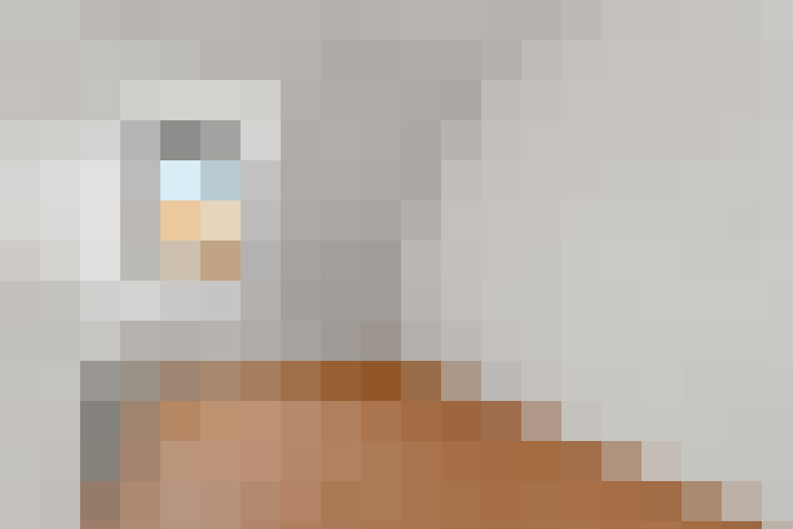  / #11