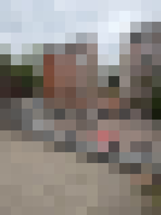 Image 14