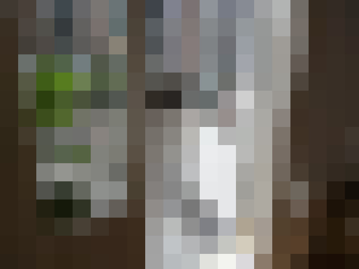  / #13