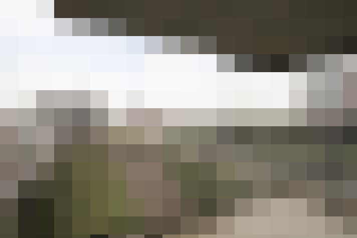  / #18