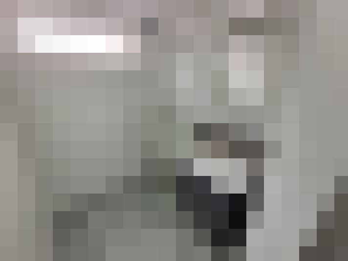 Image 31