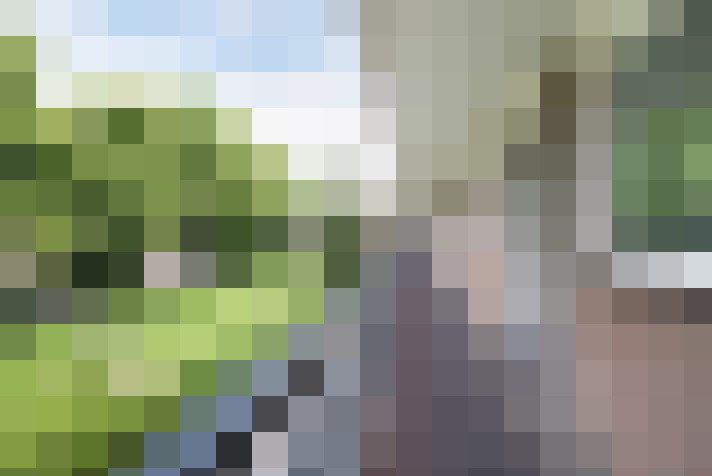 Image 38
