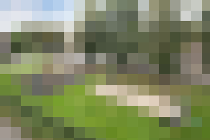 Image 40