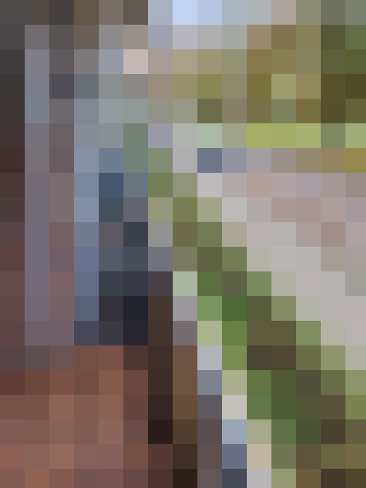 Image 17