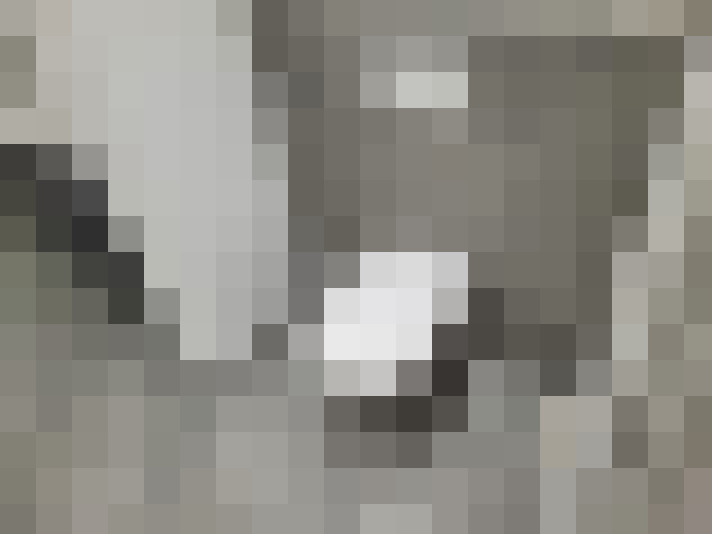 Image 29