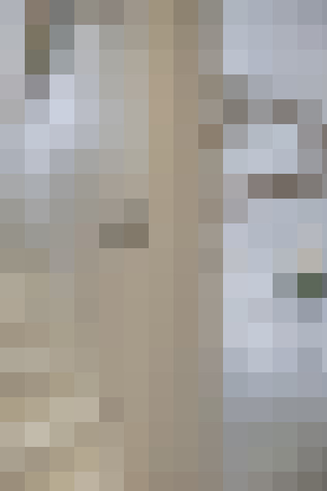  / #17