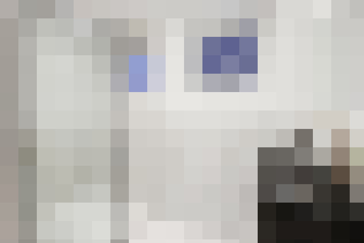  / #12