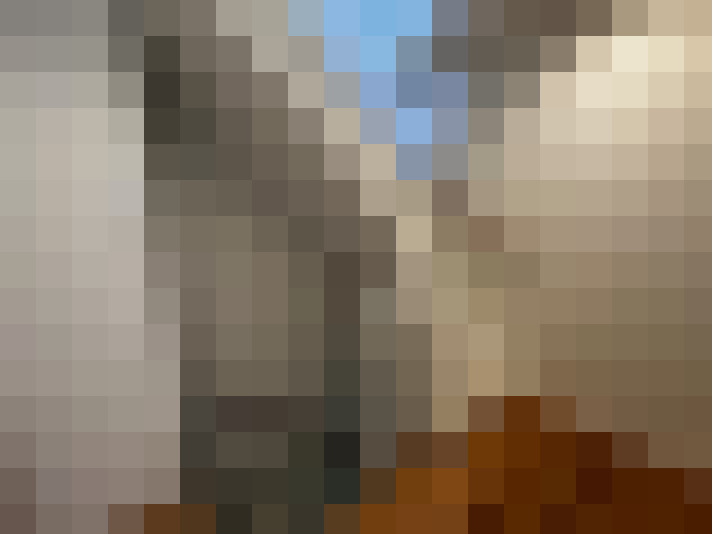  / #15