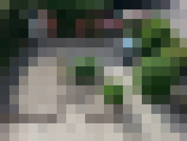 Image 24