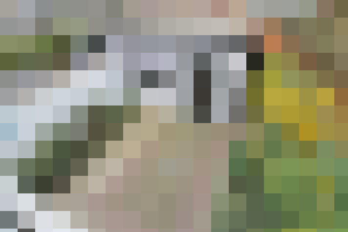 Image 23