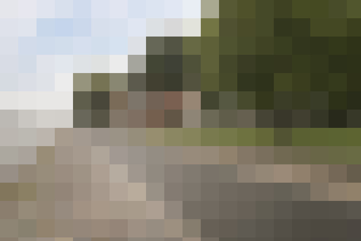 Image 21