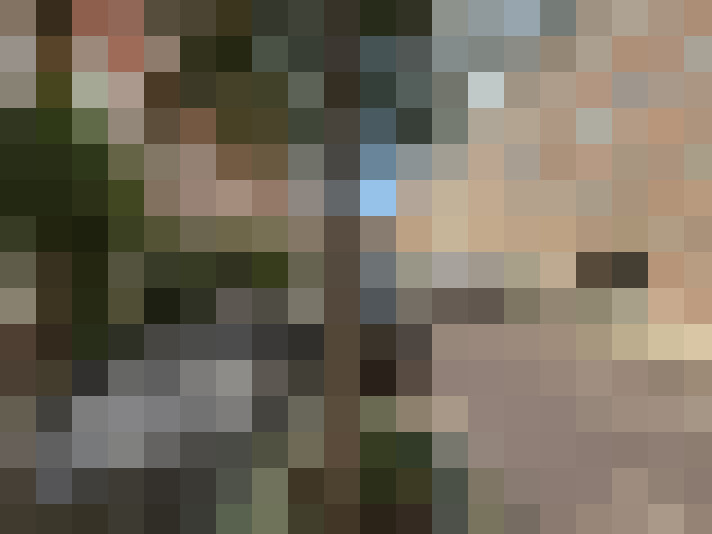  / #14