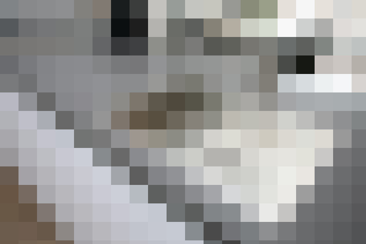 Image 13