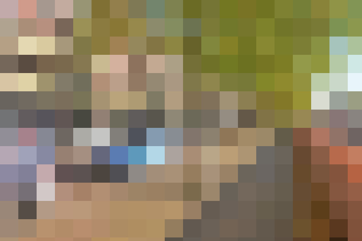 Image 33