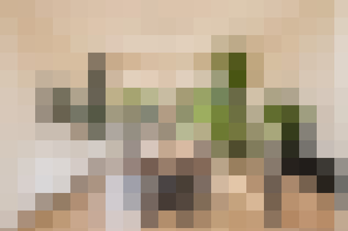 / #6