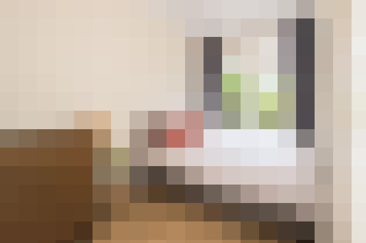  / #11