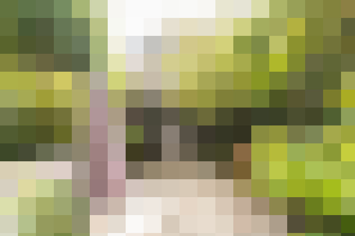  / #18