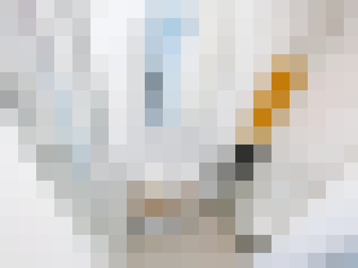  / #16