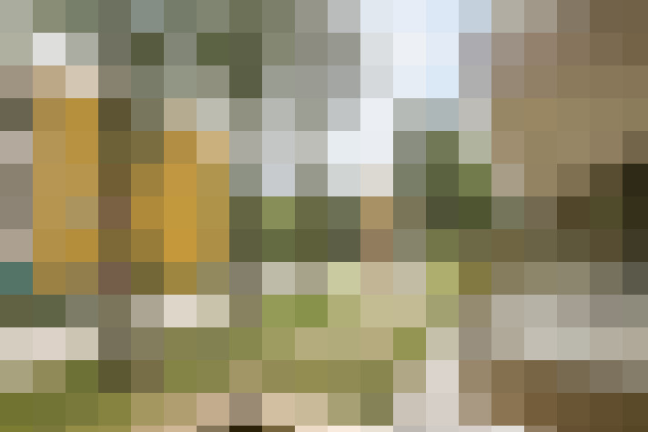 Image 14
