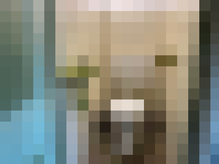 Image 28