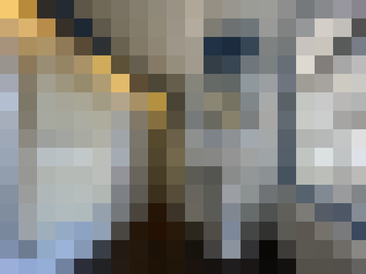 Image 13
