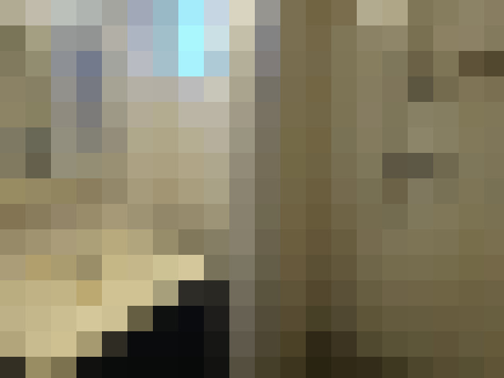 Image 29