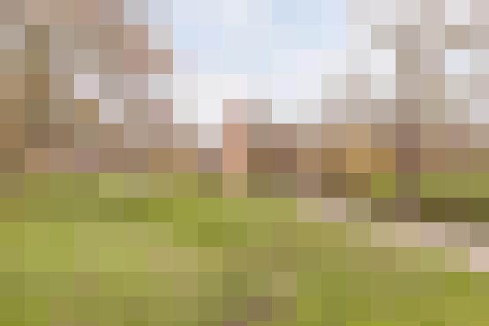 Image 20