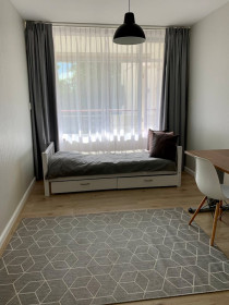 Room in Capelle Aan Den IJssel