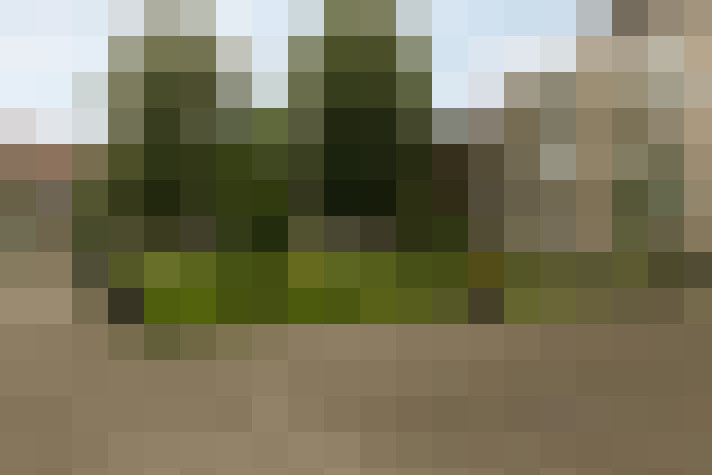 Image 16