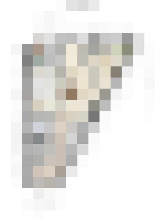  / #11