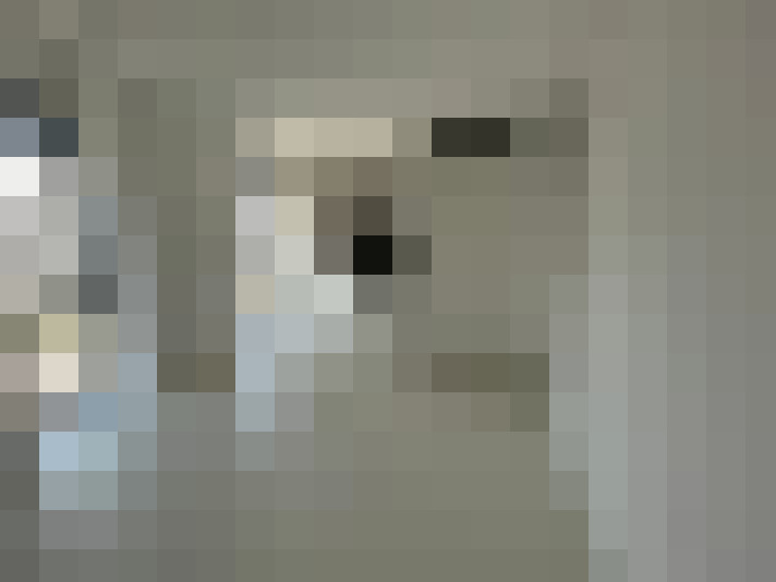  / #8