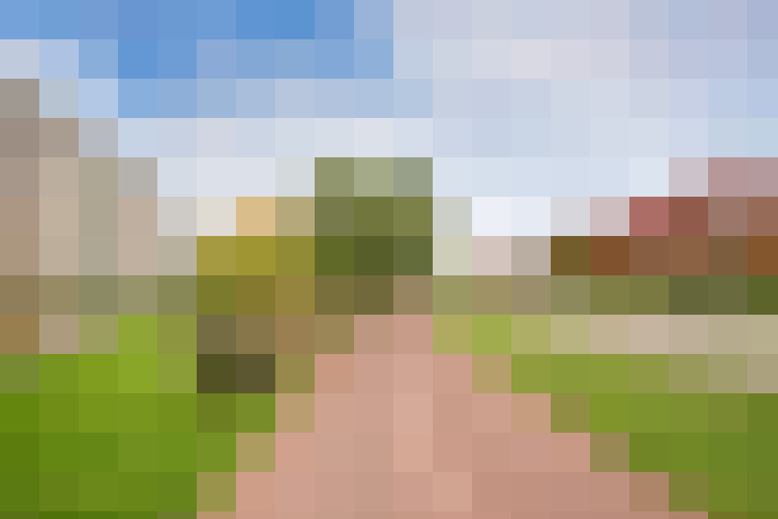  / #13