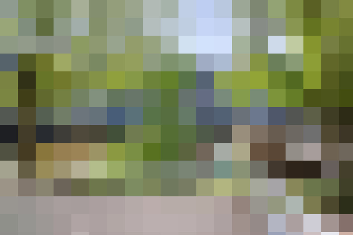  / #17
