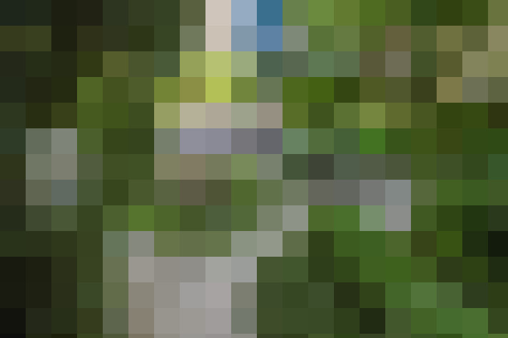  / #37