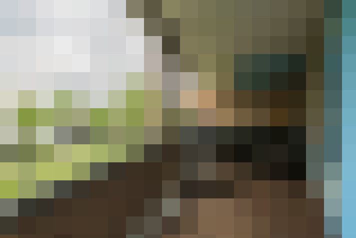 Image 23
