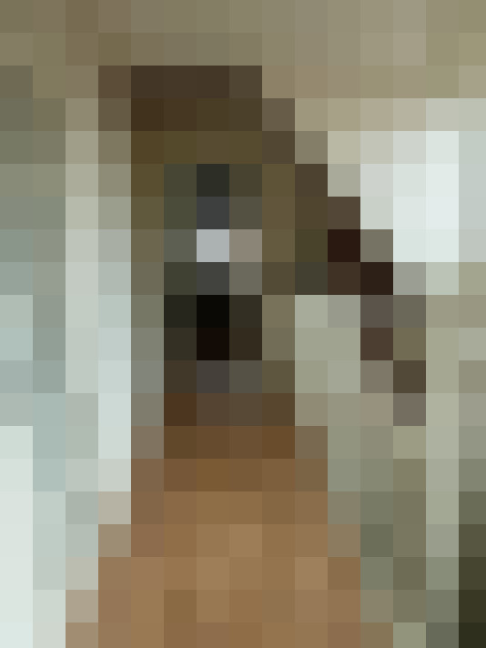 Image 18