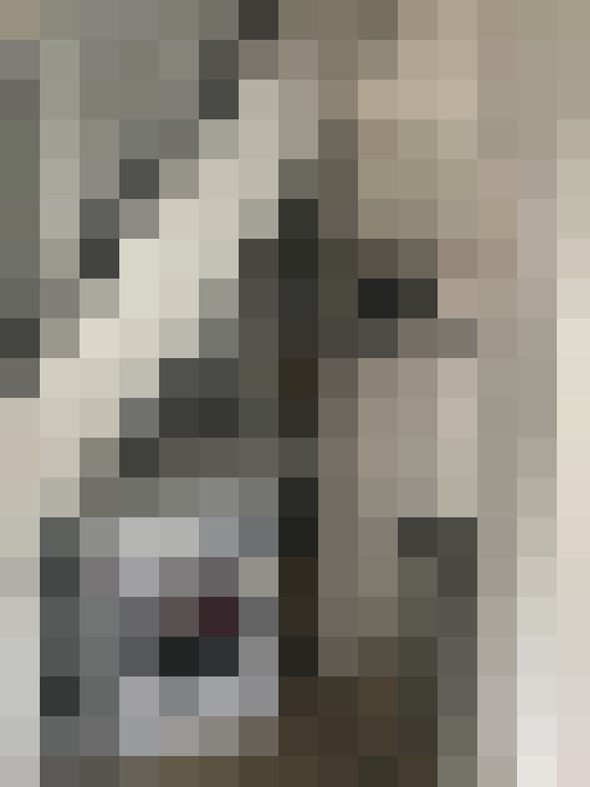 Image 30