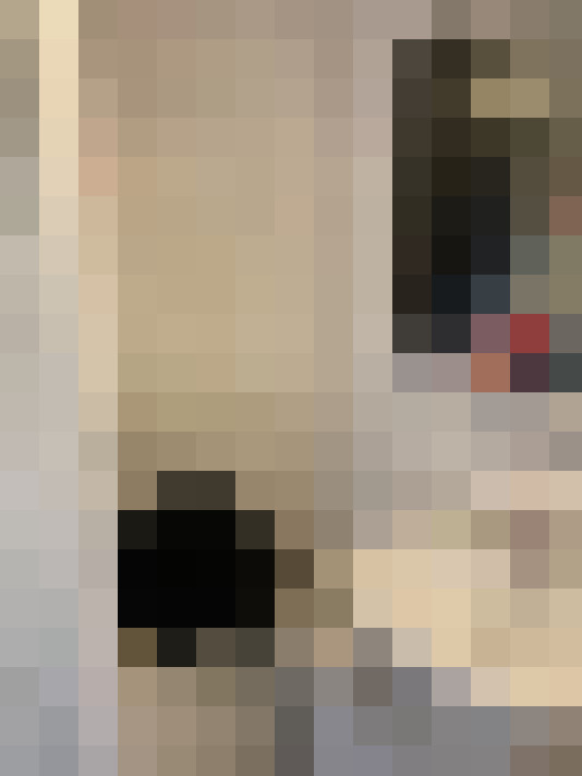 Image 31