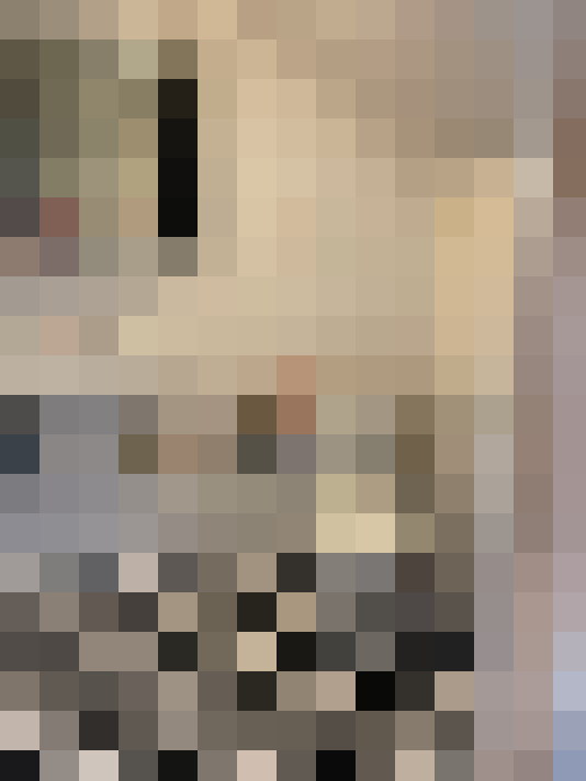 Image 29
