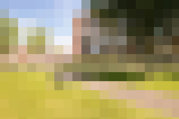 Image 20