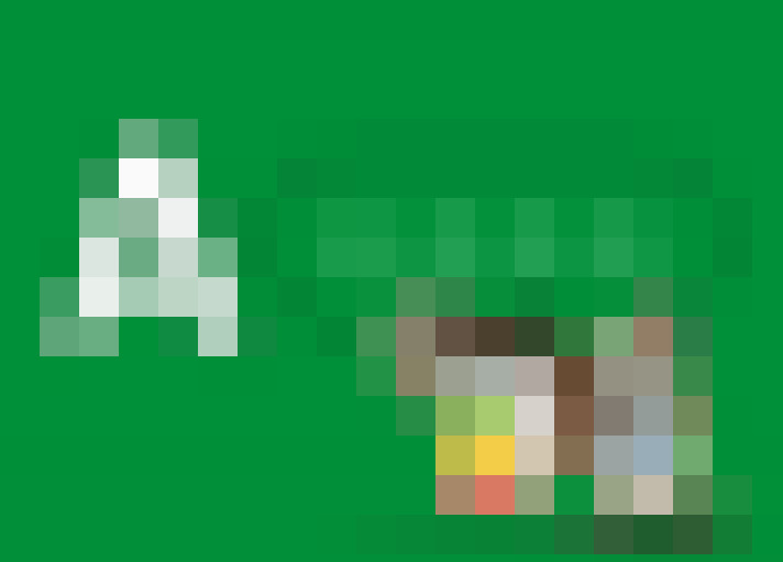  / #12