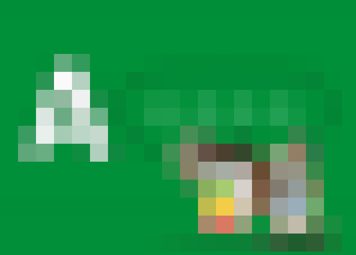 / #13