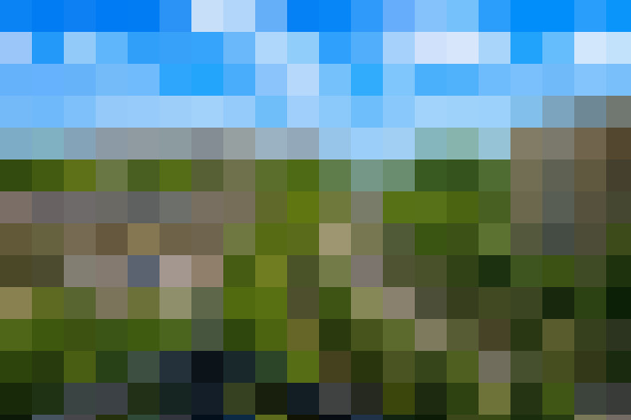  / #7