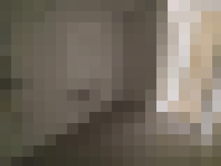  / #11