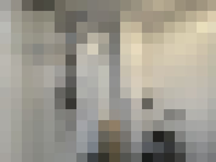 Image 22