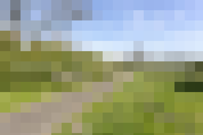 Image 23