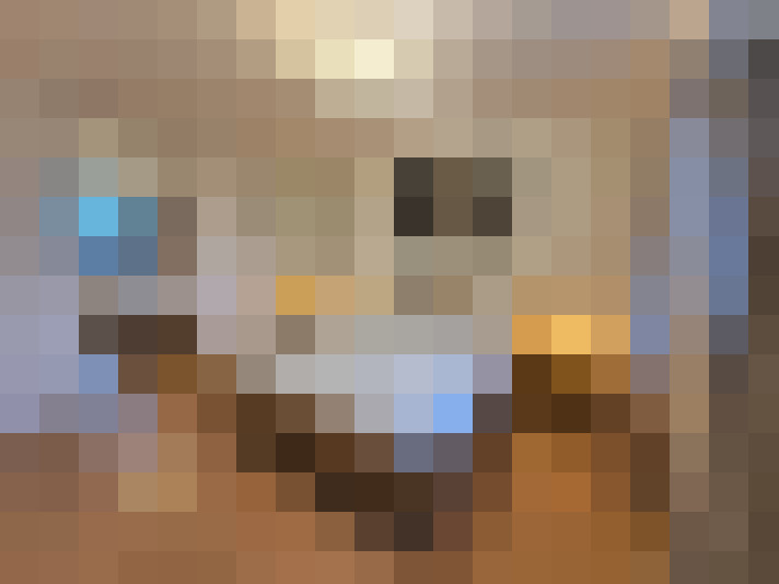 Image 17